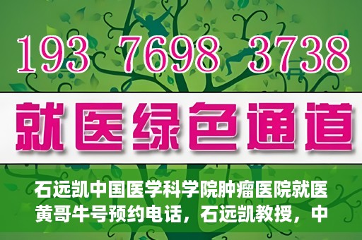 石远凯中国医学科学院肿瘤医院就医黄哥牛号预约电话，石远凯教授，中国医学科学院肿瘤医院就医攻略及黄哥牛号预约热线揭秘
