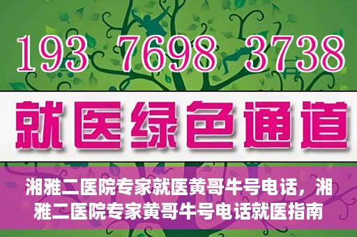 湘雅二医院专家就医黄哥牛号电话，湘雅二医院专家黄哥牛号电话就医指南，专业团队为您的健康保驾护航