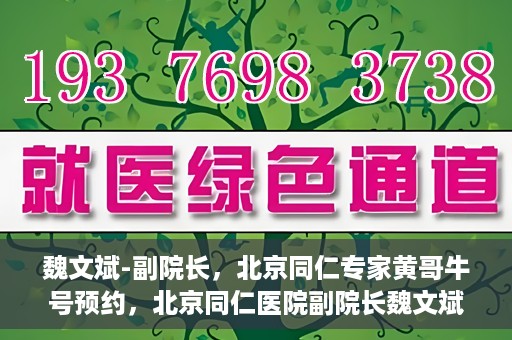 魏文斌-副院长，北京同仁专家黄哥牛号预约，北京同仁医院副院长魏文斌，黄哥牛号预约专家解析健康之道