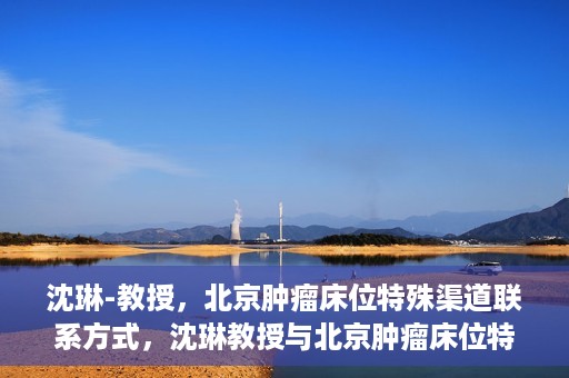 沈琳-教授，北京肿瘤床位特殊渠道联系方式，沈琳教授与北京肿瘤床位特殊渠道，权威解读与联系方式揭秘