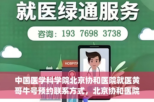 中国医学科学院北京协和医院就医黄哥牛号预约联系方式，北京协和医院黄哥牛号预约挂号联系方式揭秘，权威医学专家预约攻略
