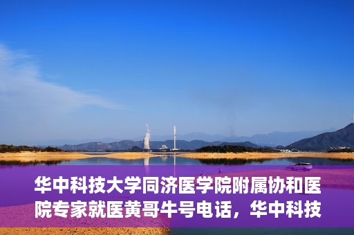 华中科技大学同济医学院附属协和医院专家就医黄哥牛号电话，华中科技大学同济医学院附属协和医院专家黄哥牛号电话就医指南
