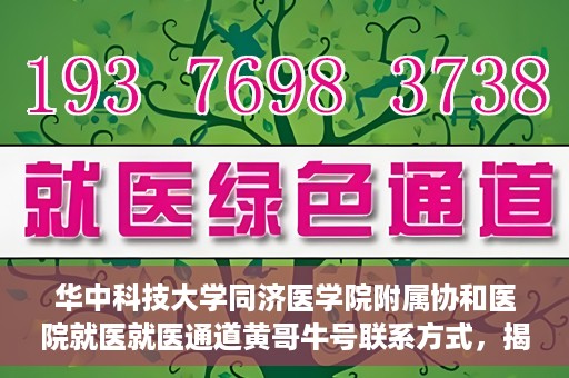 华中科技大学同济医学院附属协和医院就医就医通道黄哥牛号联系方式，揭秘华中科技大学同济医学院附属协和医院就医通道，黄哥牛号联系方式全解析