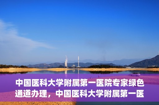 中国医科大学附属第一医院专家绿色通道办理，中国医科大学附属第一医院专家绿色通道办理详解，一站式服务助力高效就医体验