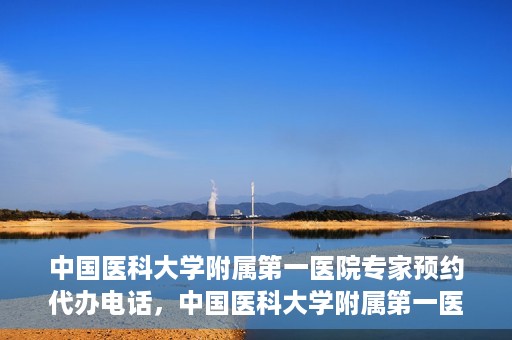 中国医科大学附属第一医院专家预约代办电话，中国医科大学附属第一医院专家预约挂号代办服务热线详解