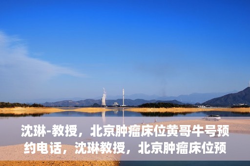 沈琳-教授，北京肿瘤床位黄哥牛号预约电话，沈琳教授，北京肿瘤床位预约热线及黄哥牛号攻略揭秘