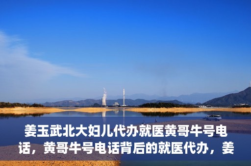 姜玉武北大妇儿代办就医黄哥牛号电话，黄哥牛号电话背后的就医代办，姜玉武与北大妇儿的医疗故事