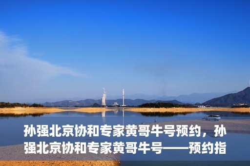 孙强北京协和专家黄哥牛号预约，孙强北京协和专家黄哥牛号——预约指南