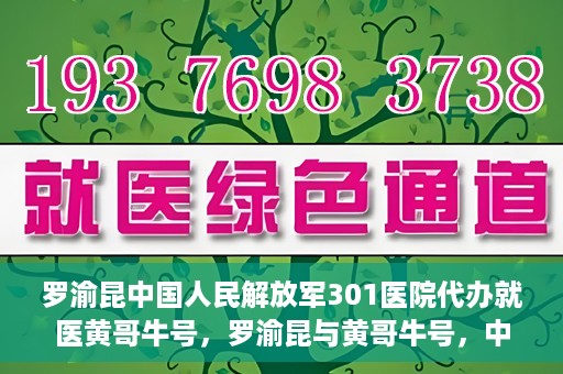 罗渝昆中国人民解放军301医院代办就医黄哥牛号，罗渝昆与黄哥牛号，中国人民解放军301医院就医代办服务解析
