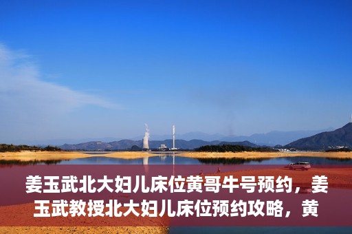 姜玉武北大妇儿床位黄哥牛号预约，姜玉武教授北大妇儿床位预约攻略，黄哥牛号助你轻松挂号