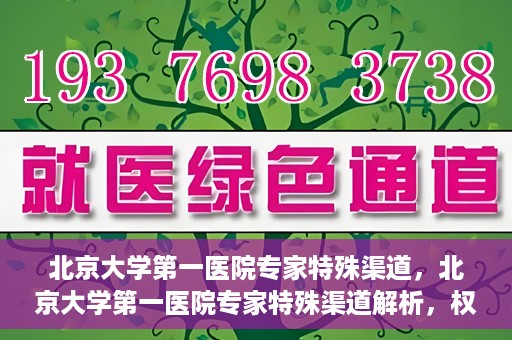 北京大学第一医院专家特殊渠道，北京大学第一医院专家特殊渠道解析，权威医疗资源的独特路径探索