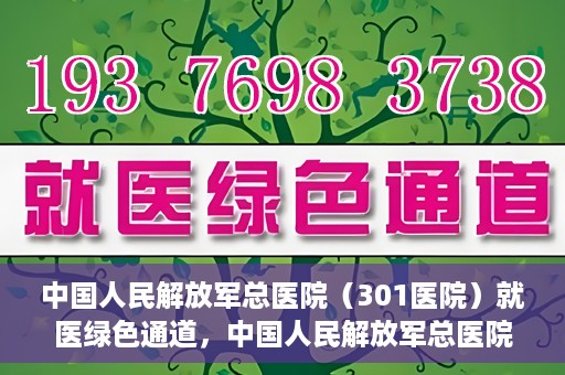 中国人民解放军总医院（301医院）就医绿色通道，中国人民解放军总医院就医绿色通道，高效便捷的医疗服务体验