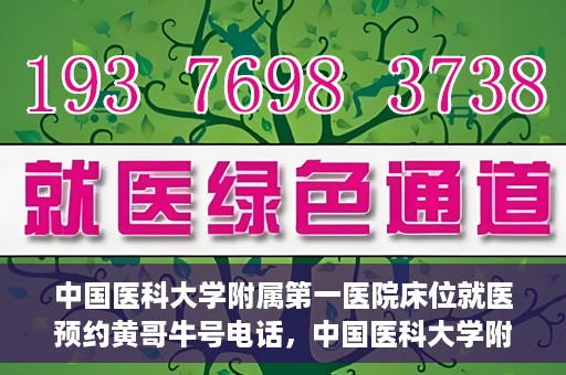 中国医科大学附属第一医院床位就医预约黄哥牛号电话，中国医科大学附属第一医院床位预约就医电话黄哥牛号详解