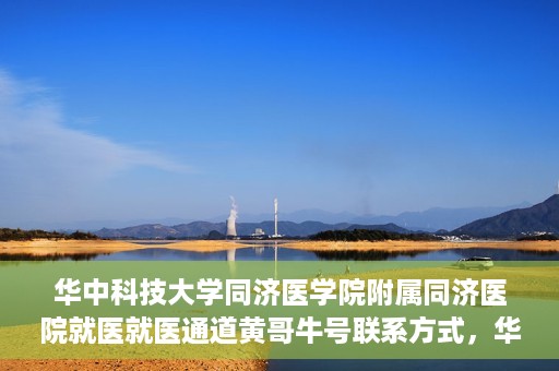 华中科技大学同济医学院附属同济医院就医就医通道黄哥牛号联系方式，华中科技大学同济医院就医通道详解，黄哥牛号联系方式揭秘