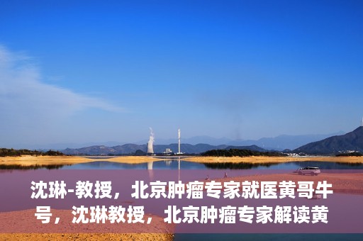 沈琳-教授，北京肿瘤专家就医黄哥牛号，沈琳教授，北京肿瘤专家解读黄哥牛号就医秘籍