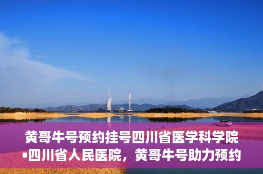 黄哥牛号预约挂号四川省医学科学院•四川省人民医院，黄哥牛号助力预约挂号，四川省医学科学院·四川省人民医院便捷就医新体验