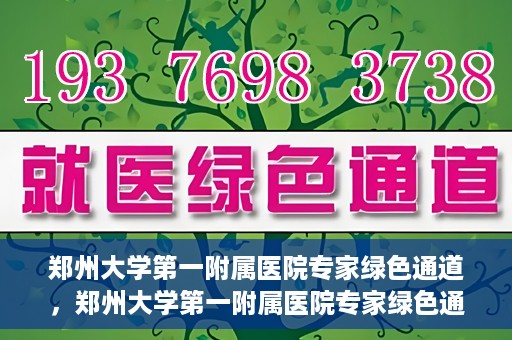 郑州大学第一附属医院专家绿色通道，郑州大学第一附属医院专家绿色通道，高效就医体验，专业医疗服务的守护者