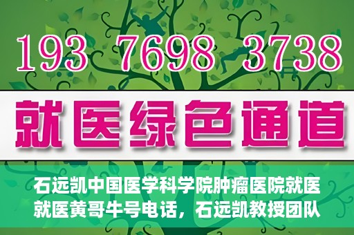 石远凯中国医学科学院肿瘤医院就医就医黄哥牛号电话，石远凯教授团队就医攻略，黄哥牛号电话预约与肿瘤医院就医指南