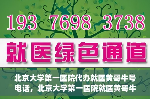 北京大学第一医院代办就医黄哥牛号电话，北京大学第一医院就医黄哥牛号代办服务电话揭秘