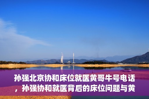 孙强北京协和床位就医黄哥牛号电话，孙强协和就医背后的床位问题与黄哥牛号电话揭秘