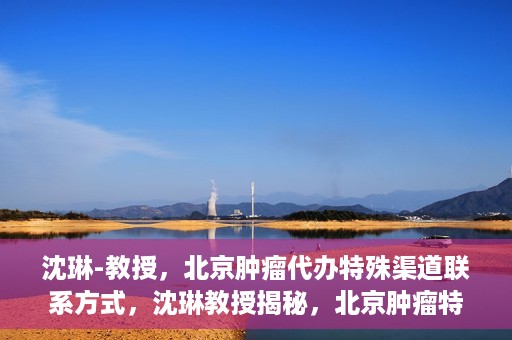 沈琳-教授，北京肿瘤代办特殊渠道联系方式，沈琳教授揭秘，北京肿瘤特殊渠道联系方式揭秘