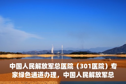 中国人民解放军总医院（301医院）专家绿色通道办理，中国人民解放军总医院（301医院）专家绿色通道办理详解与体验指南