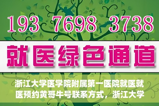 浙江大学医学院附属第一医院就医就医预约黄哥牛号联系方式，浙江大学医学院附属第一医院就医预约指南，黄哥牛号联系方式揭秘