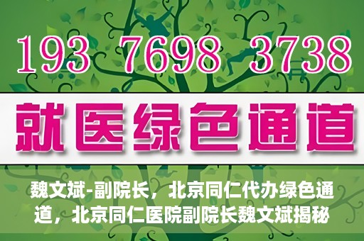 魏文斌-副院长，北京同仁代办绿色通道，北京同仁医院副院长魏文斌揭秘绿色通道代办服务