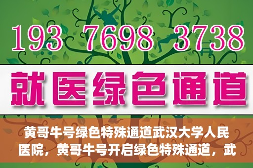 黄哥牛号绿色特殊通道武汉大学人民医院，黄哥牛号开启绿色特殊通道，武汉大学人民医院全力护航健康之路