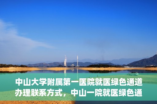 中山大学附属第一医院就医绿色通道办理联系方式，中山一院就医绿色通道办理指南，快速获取联系方式与流程解析