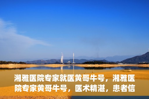 湘雅医院专家就医黄哥牛号，湘雅医院专家黄哥牛号，医术精湛，患者信赖的权威就医之选