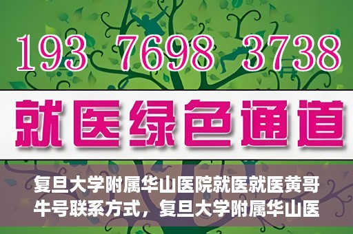 复旦大学附属华山医院就医就医黄哥牛号联系方式，复旦大学附属华山医院就医指南，黄哥牛号联系方式揭秘