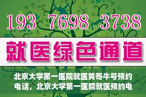 北京大学第一医院就医黄哥牛号预约电话，北京大学第一医院就医预约电话及黄哥牛号预约指南