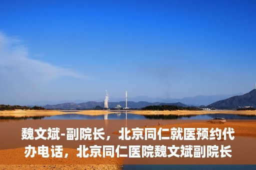 魏文斌-副院长，北京同仁就医预约代办电话，北京同仁医院魏文斌副院长，就医预约代办电话详解