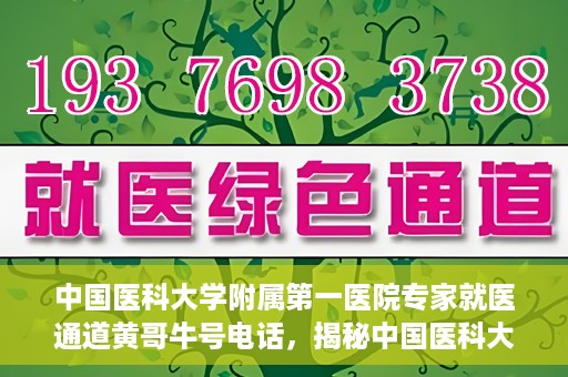 中国医科大学附属第一医院专家就医通道黄哥牛号电话，揭秘中国医科大学附属第一医院专家就医通道，黄哥牛号电话专线揭秘