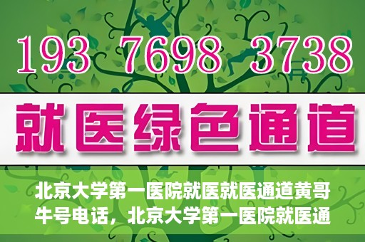 北京大学第一医院就医就医通道黄哥牛号电话，北京大学第一医院就医通道解析，黄哥牛号电话全解读