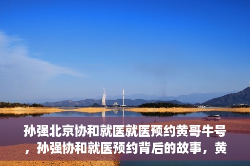 孙强北京协和就医就医预约黄哥牛号，孙强协和就医预约背后的故事，黄哥牛号揭秘预约秘籍