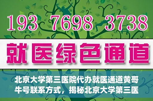 北京大学第三医院代办就医通道黄哥牛号联系方式，揭秘北京大学第三医院就医代办通道，黄哥牛号联系方式及操作指南