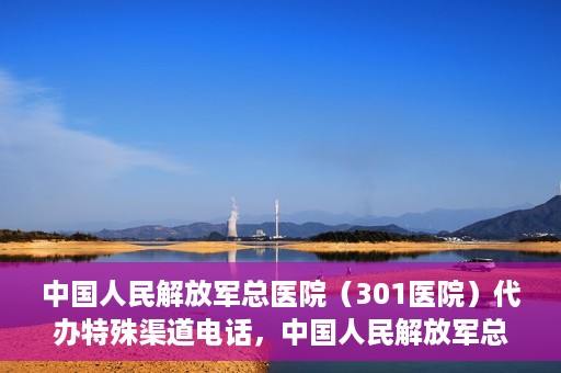 中国人民解放军总医院（301医院）代办特殊渠道电话，中国人民解放军总医院特殊渠道电话代办服务揭秘