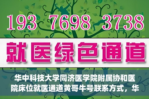华中科技大学同济医学院附属协和医院床位就医通道黄哥牛号联系方式，华中科技大学同济医学院附属协和医院床位就医通道详解，黄哥牛号联系方式揭秘