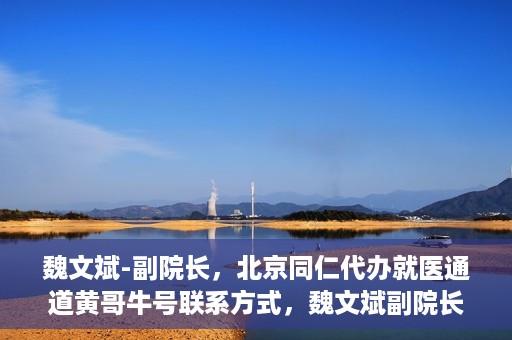 魏文斌-副院长，北京同仁代办就医通道黄哥牛号联系方式，魏文斌副院长与北京同仁就医通道，黄哥牛号联系方式揭秘
