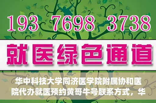 华中科技大学同济医学院附属协和医院代办就医预约黄哥牛号联系方式，华中科技大学同济医学院附属协和医院预约挂号联系方式揭秘，黄哥牛号助您轻松预约就医服务