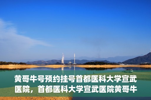 黄哥牛号预约挂号首都医科大学宣武医院，首都医科大学宣武医院黄哥牛号预约挂号指南
