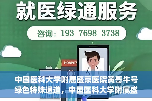 中国医科大学附属盛京医院黄哥牛号绿色特殊通道，中国医科大学附属盛京医院黄哥牛号，绿色特殊通道开启健康之门