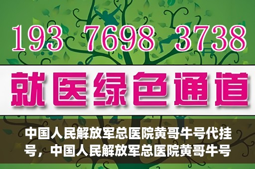 中国人民解放军总医院黄哥牛号代挂号，中国人民解放军总医院黄哥牛号代挂号解析，揭秘挂号背后的故事