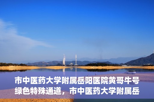 市中医药大学附属岳阳医院黄哥牛号绿色特殊通道，市中医药大学附属岳阳医院黄哥牛号，绿色特殊通道开启健康之门