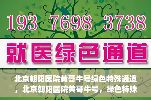 北京朝阳医院黄哥牛号绿色特殊通道，北京朝阳医院黄哥牛号，绿色特殊通道开启健康之门