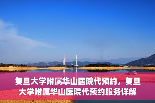 复旦大学附属华山医院代预约，复旦大学附属华山医院代预约服务详解
