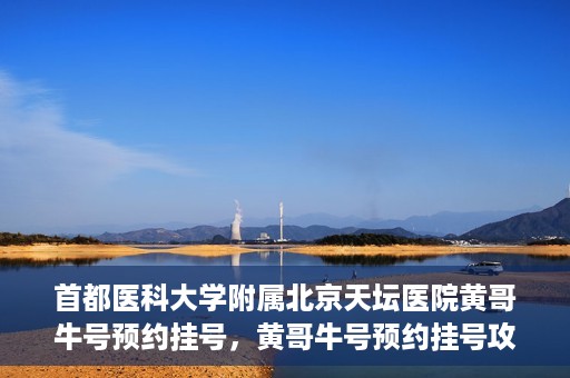 首都医科大学附属北京天坛医院黄哥牛号预约挂号，黄哥牛号预约挂号攻略，北京天坛医院就医指南