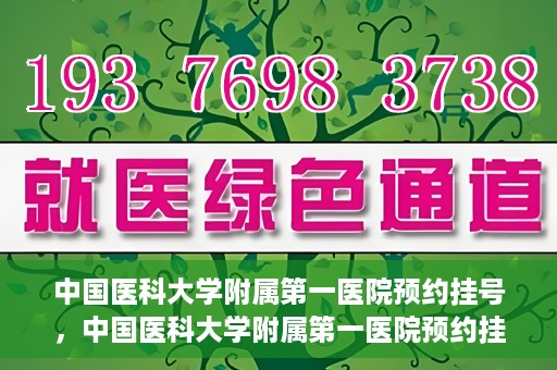 中国医科大学附属第一医院预约挂号，中国医科大学附属第一医院预约挂号指南，一站式解决您的就医难题